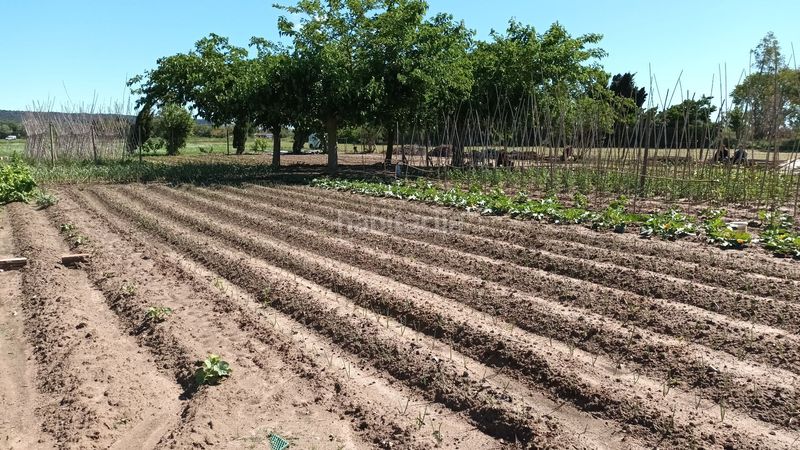Foto bb957889-b3c7-43a6-865f-dc153367bcb9. Finca rústica a Els Griells Estartit