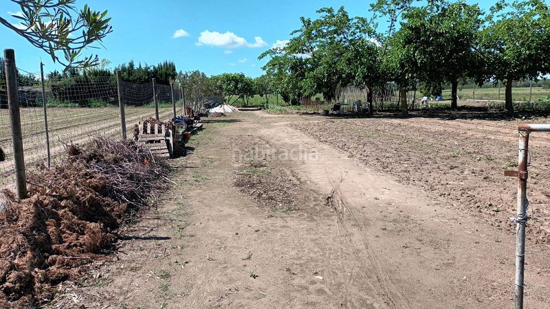 Foto e7a155bc-6d7b-44b8-b09e-b87b4fb66fd0. Finca rústica a Els Griells Estartit