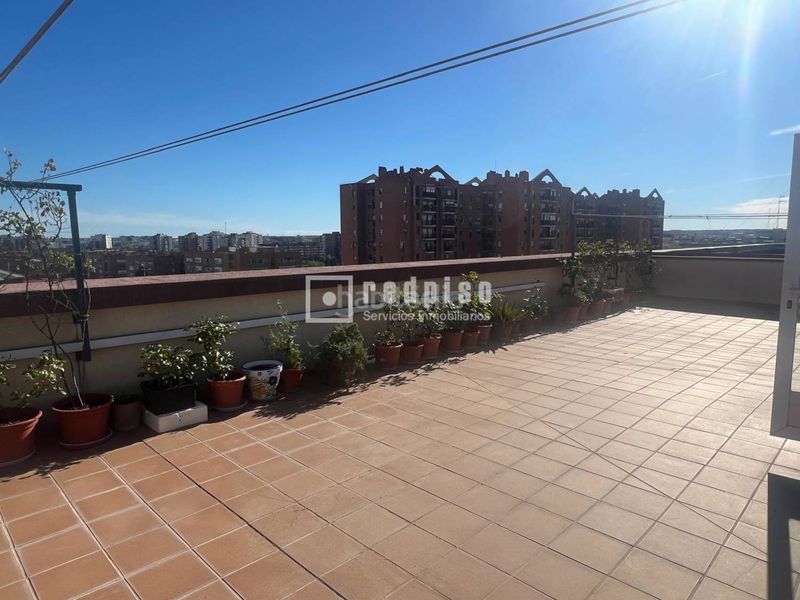 Foto 5a97b29d-bc77-48be-940b-aef320c48c86. Pis a Los Ángeles Madrid