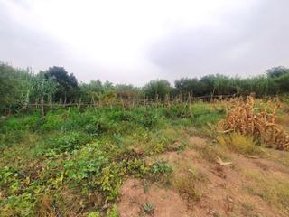 Masia a Campanillas. Finca rúst. en venta en santa rosalía-maqueda.