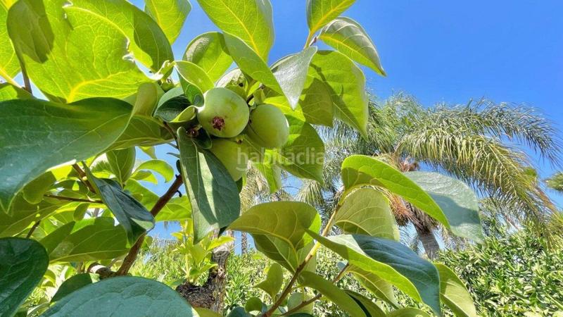 Foto 1f404cf4-18e2-4e79-a48d-2e8a21a8e94f. Chalet mit heizung parking in Manantiales - Lagar - Cortijo Alhaurín de la Torre