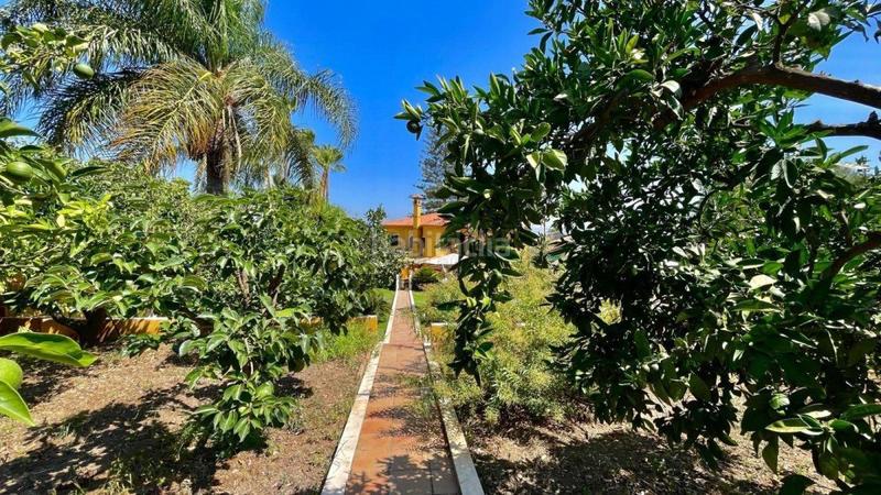 Foto 73db8a7b-58a6-4009-9f0e-db788309c1b4. Chalet mit heizung parking in Manantiales - Lagar - Cortijo Alhaurín de la Torre