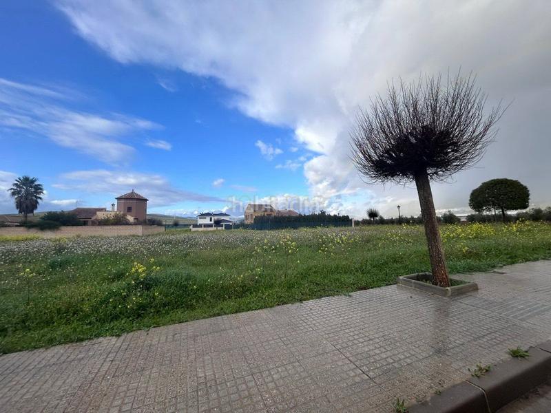 Foto fdd4e2af-b40f-4a26-833b-727b0736198d. Terreno residencial solar en venta . en Archidona