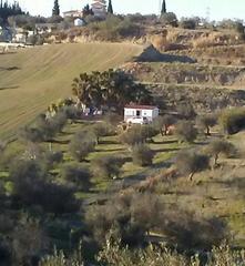 Mas à Centro. Finca rúst. en venta en alhaurín el grande, 1 dormitorio.