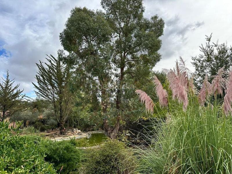 Foto 06484bd2-e92b-4dee-b2e8-32eaf32b1cd6. Masía finca rúst. en venta , 5 dormitorios. en Archidona