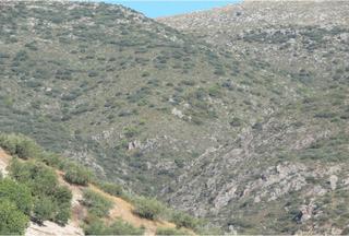 Mas  N/a. Finca rúst. en venta en priego de cordoba.