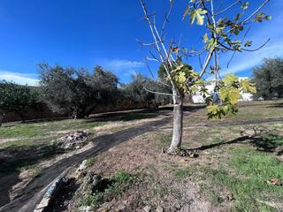 Maison à Villanueva de Algaidas. Casa en venta en la atalaya, 4 dormitorios.
