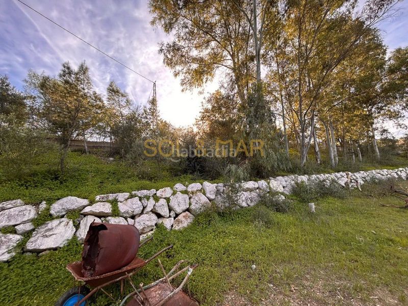 Foto 1b710a09-2a51-412f-8e46-56bdeb46c3cb. Masia a Nueva Aljaima - Las Tres Leguas - Los Mondeños Cártama