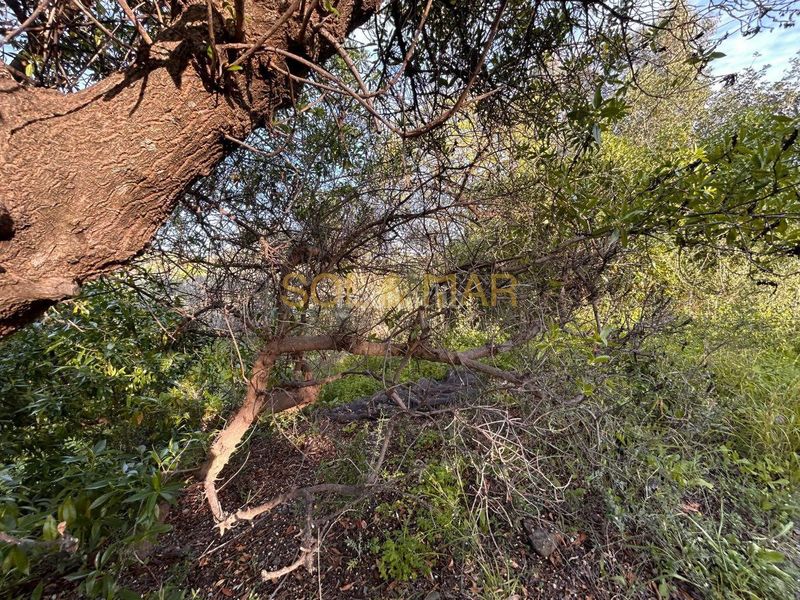 Foto 3035c127-4f25-4503-943d-46884fa72239. Masia a Nueva Aljaima - Las Tres Leguas - Los Mondeños Cártama