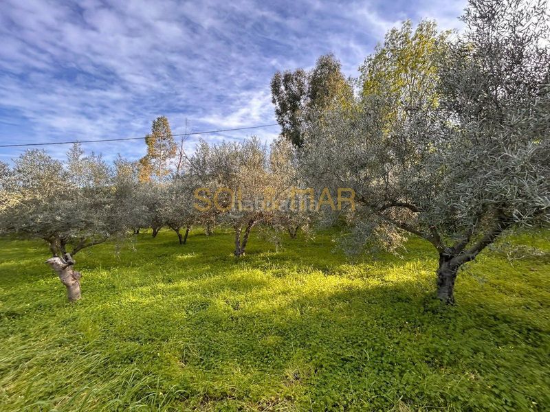 Foto 79393515-30e2-4dde-96d2-df753e134780. Masia a Nueva Aljaima - Las Tres Leguas - Los Mondeños Cártama