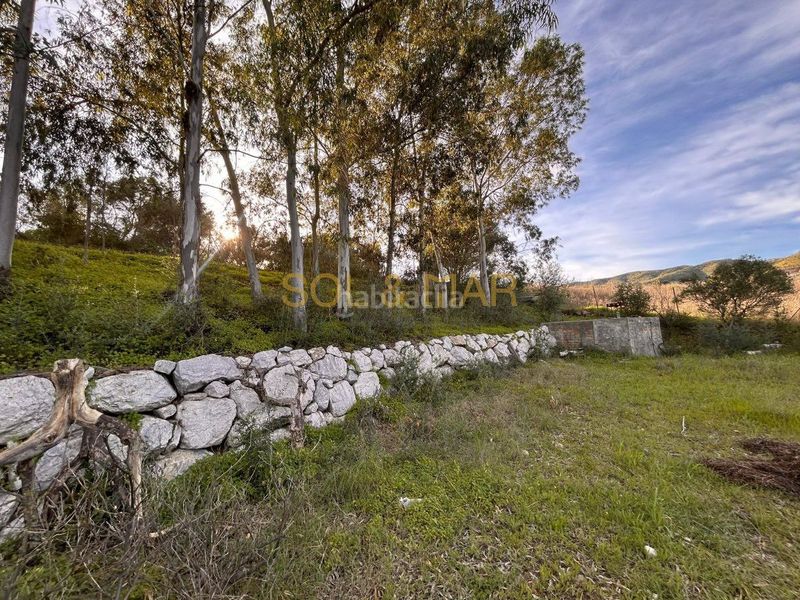 Foto 8aaf0e3a-2cfb-4af1-83b4-3d6141190b70. Masia a Nueva Aljaima - Las Tres Leguas - Los Mondeños Cártama