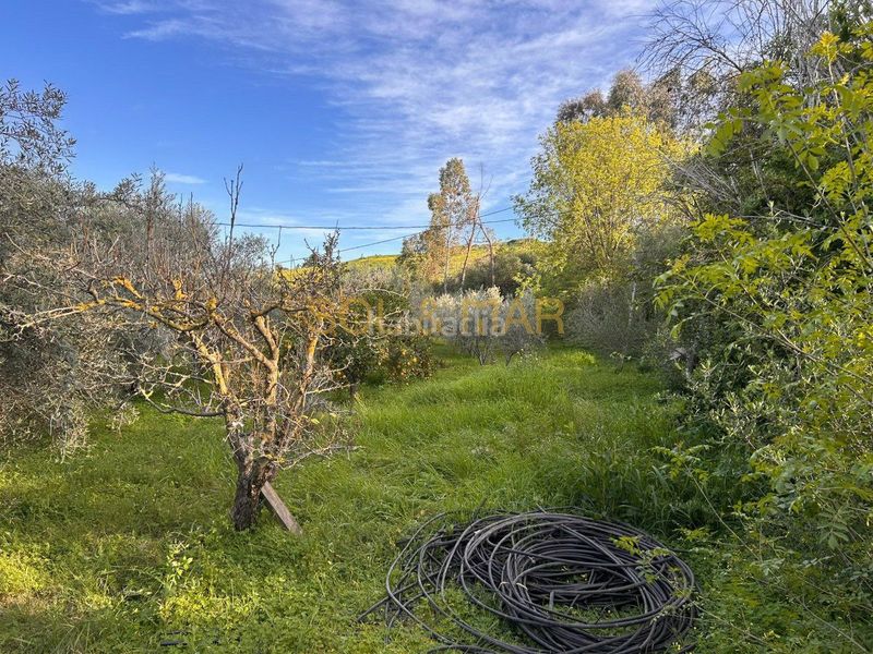 Foto b0517876-0054-4de6-8c44-ad4bbe0a0883. Masia a Nueva Aljaima - Las Tres Leguas - Los Mondeños Cártama
