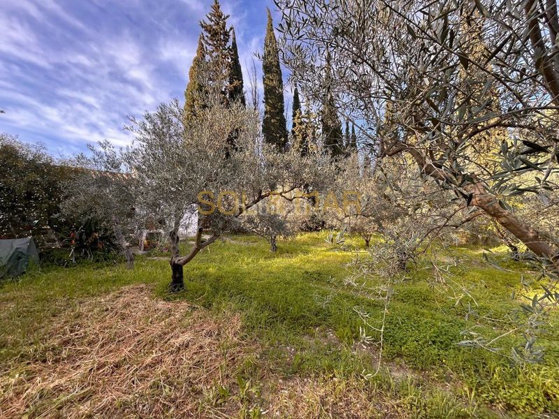 Foto b1c14b76-1d94-43f6-9906-97ab8dc8b7f0. Masia a Nueva Aljaima - Las Tres Leguas - Los Mondeños Cártama