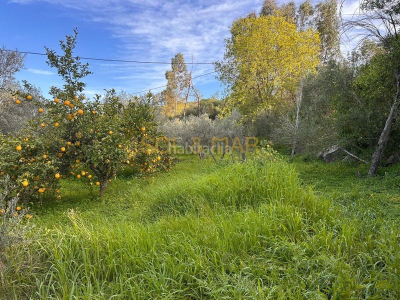 Foto c9210589-2f34-4268-9da0-b4e7a05631d7. Masia a Nueva Aljaima - Las Tres Leguas - Los Mondeños Cártama