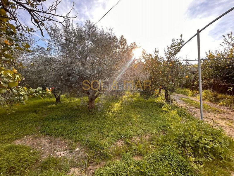 Foto d4d89a02-e04c-4fda-a986-6313a0e29502. Masia a Nueva Aljaima - Las Tres Leguas - Los Mondeños Cártama