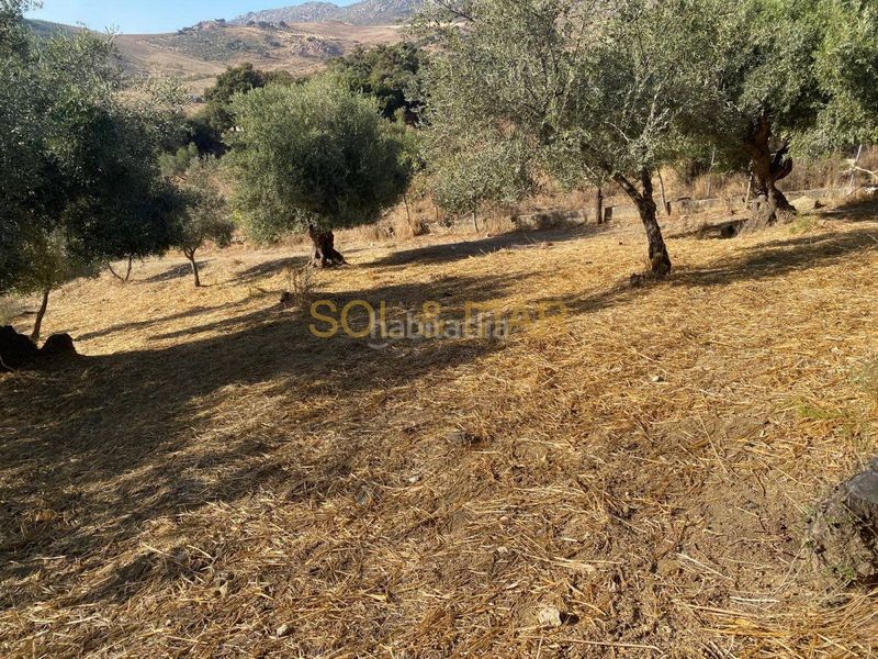 Foto 0d7ec7fe-3165-4032-ab8c-bfc48c041dc9. Masia a Cueva de Menga Antequera