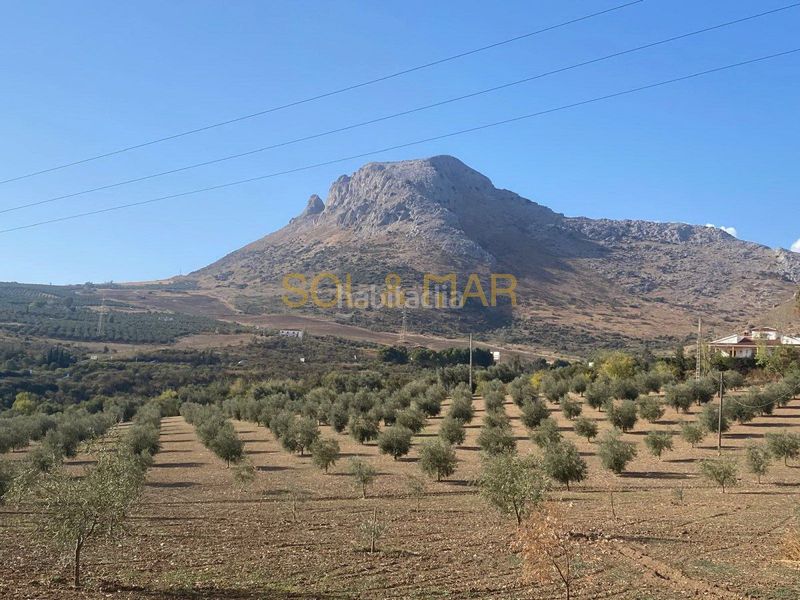 Foto 166836ea-6a72-4986-be3c-e549a84ab236. Masia a Cueva de Menga Antequera