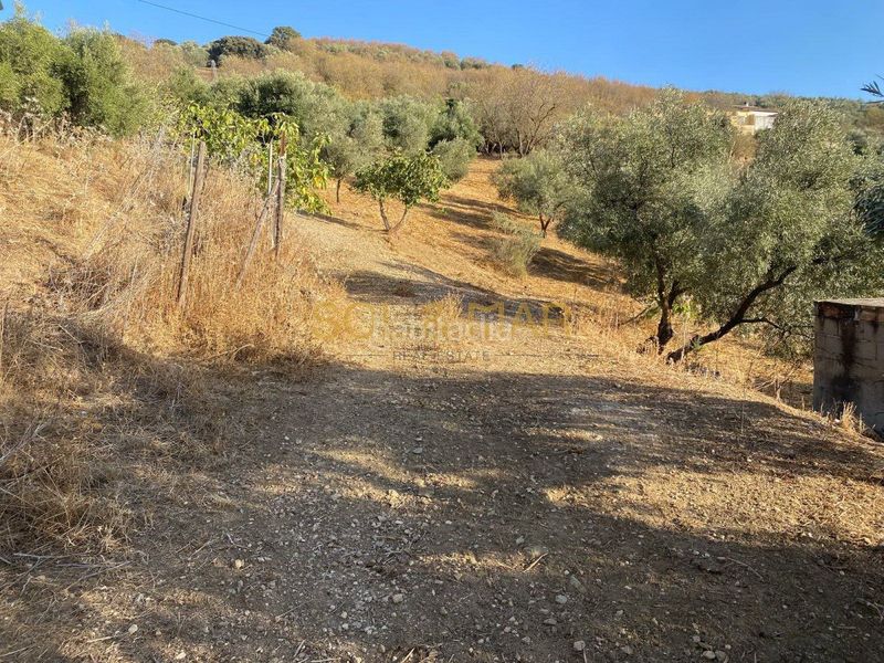 Foto 78b0543c-1ca2-4111-8114-8fd1f88be56b. Masia a Cueva de Menga Antequera