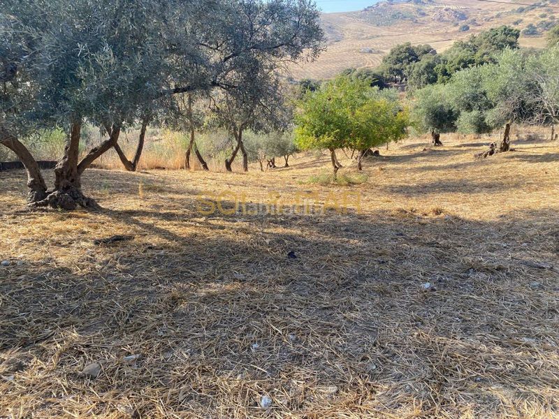 Foto 7a4395dc-0660-4a76-b900-4be4aa06cf1d. Masia a Cueva de Menga Antequera