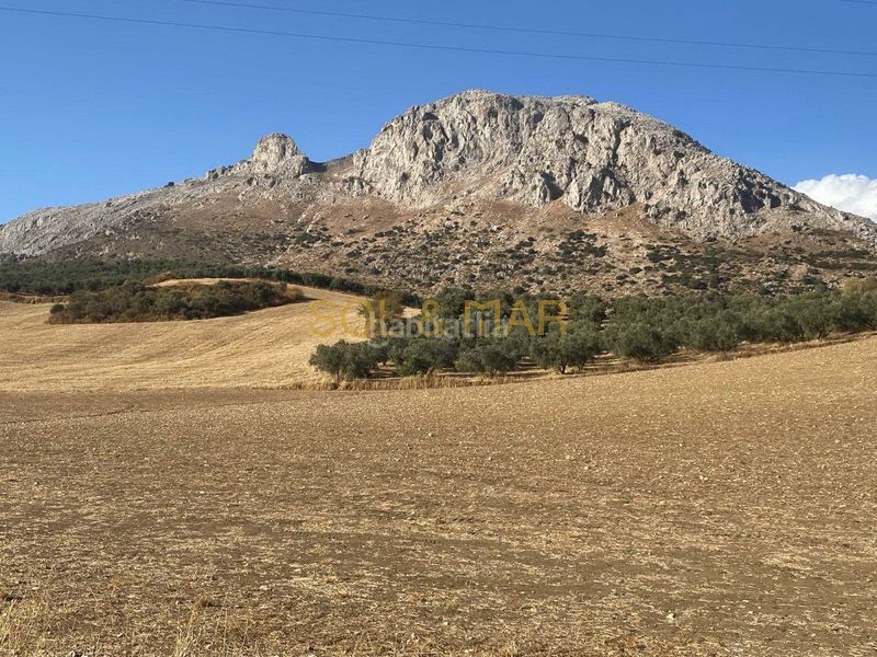 Foto cc609008-3f87-442c-aebc-35504c6df3a3. Masia a Cueva de Menga Antequera