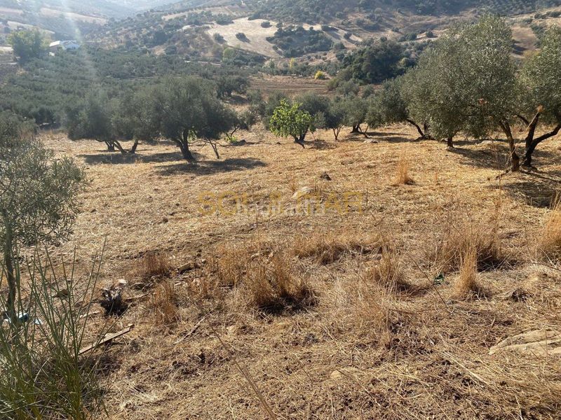 Foto f16f50b8-768c-447a-83c8-eb9e657481b4. Masia a Cueva de Menga Antequera