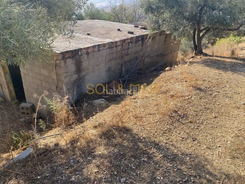 Foto ff75869e-26ae-4241-a135-9ce4f3663904. Masia a Cueva de Menga Antequera