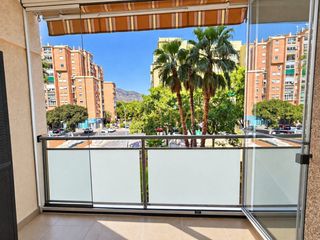 Flat in Isabel Manoja