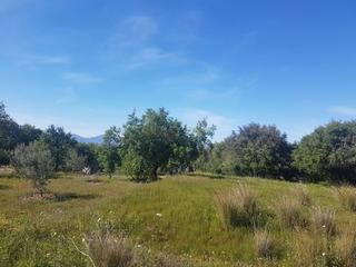Mas à Centro. Finca rúst. en venta en alhaurín de la torre.