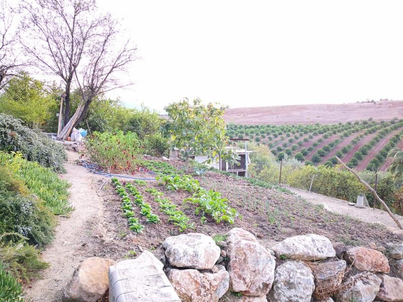 Foto c9c3ed6f-2cfa-48b0-8452-ddfa42ee1a4d. Masia amb calefacció aparcament a Campanillas Málaga