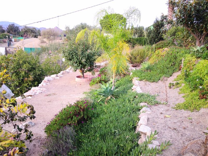 Foto 18d37144-c4c8-4919-978a-8e2a5981d760. Finca rústica a Campanillas Málaga