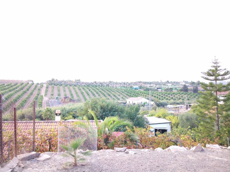 Foto 6e3891ad-4e60-4b71-ba3c-f99e8f1e3089. Finca rústica a Campanillas Málaga