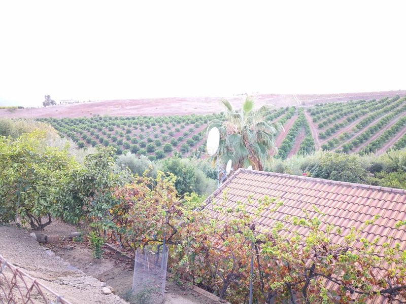 Foto 8690bd5d-2c99-4950-a3be-8f3ba24f0baf. Finca rústica a Campanillas Málaga