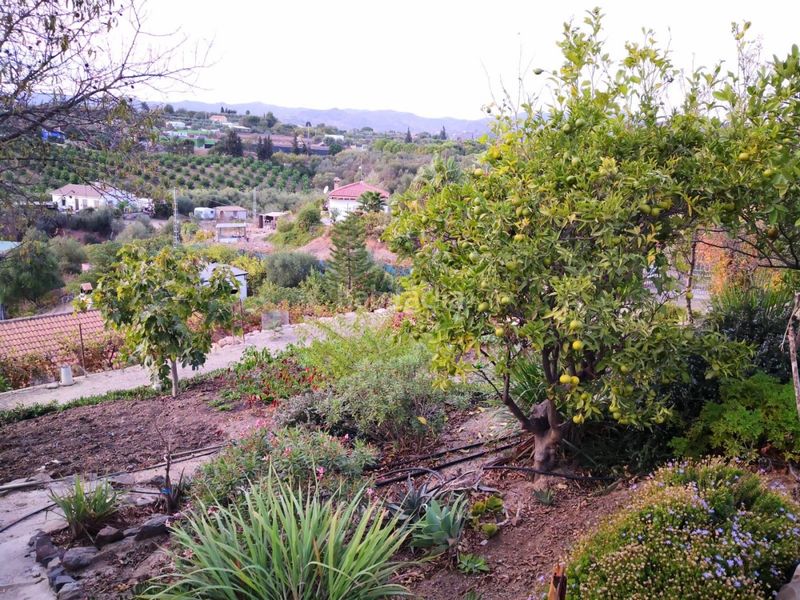 Foto aa8f7ab1-624a-4b05-b1d1-39c22e8879bc. Finca rústica a Campanillas Málaga