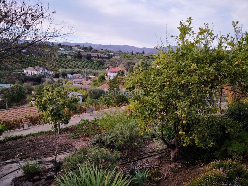 Foto bece0926-5b4e-4d97-a765-de960031b935. Finca rústica a Campanillas Málaga