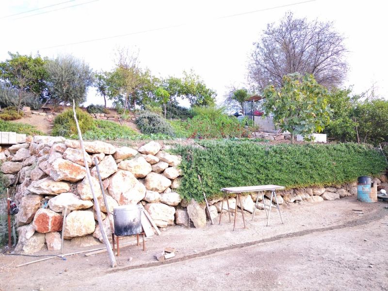 Foto e41dcfb7-4bef-40a5-8a82-90a8da92956c. Finca rústica a Campanillas Málaga