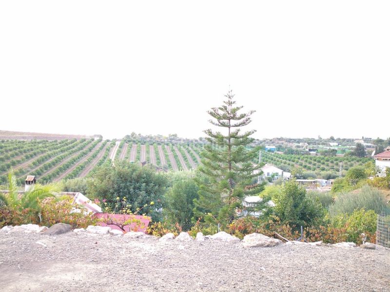 Foto e69e5db4-307d-4b76-b9d4-a45c09c0528e. Finca rústica a Campanillas Málaga