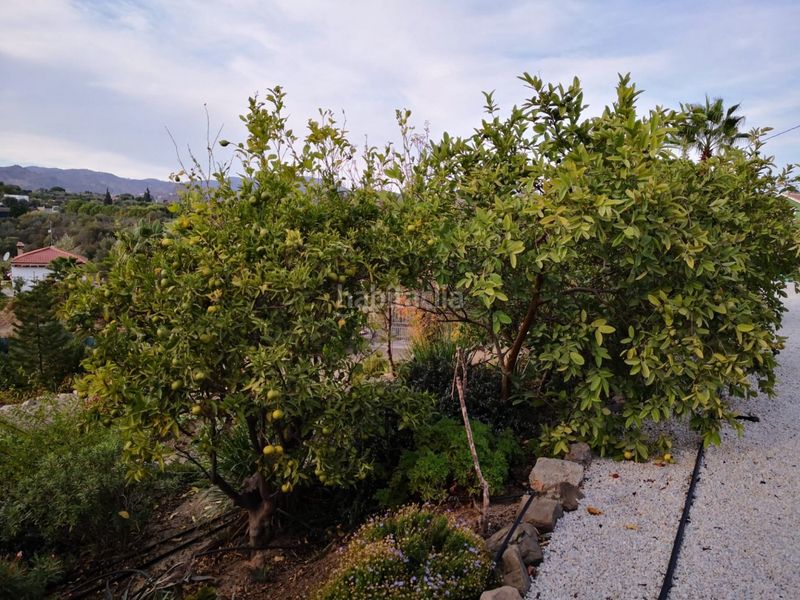 Foto edc65e09-cd14-492b-9866-e6ddba97e77e. Finca rústica a Campanillas Málaga