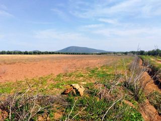 Fondo rustico in Fuente de Piedra. Terreno rústico en fuente de piedra