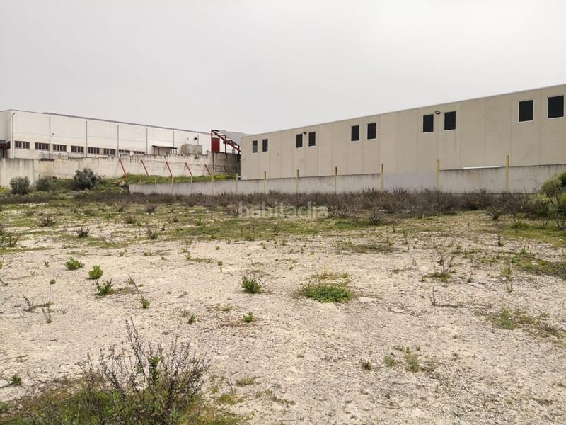 Foto 884a3b8d-1dfe-4818-948c-a522174dacfd. Terreno residencial magnífico solar industrial en venta en el polígono cerro gordo en Lucena