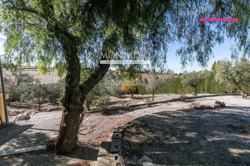 Foto 862a70c5-ec74-4453-8934-ef90257416fd. Chalet en río danubio 8 chalet con piscina y encanto natural en urbanización san javier, las gabias en Gabias (Las)