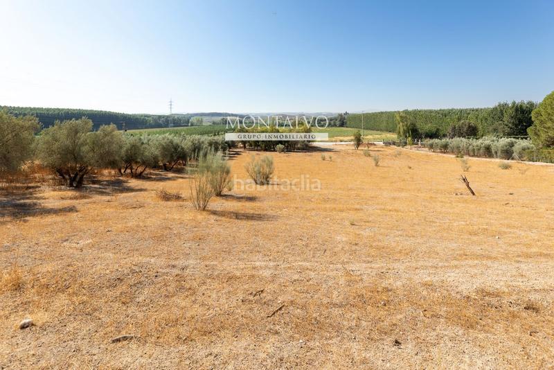 Foto 074a15d8-8650-4745-a605-84986a9ae673. Rural plot in 35- barranco hondo 59 in Láchar