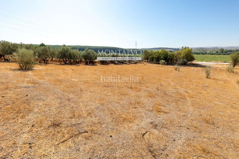 Foto 1834a96f-9677-4c6b-aa5b-0248c989654f. Rural plot in 35- barranco hondo 59 in Láchar