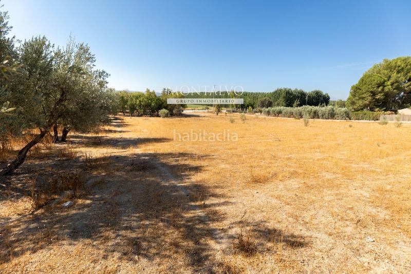 Foto 2fdb9540-5e13-4340-9d4d-9429f96a1d9d. Rural plot in 35- barranco hondo 59 in Láchar