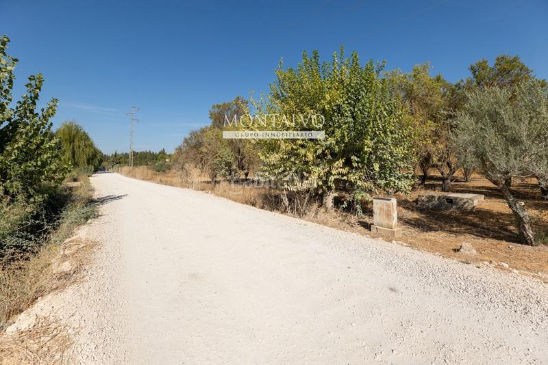 Foto 4ab3c836-c3bc-4f99-8a0b-29459f771c05. Rural plot in 35- barranco hondo 59 in Láchar