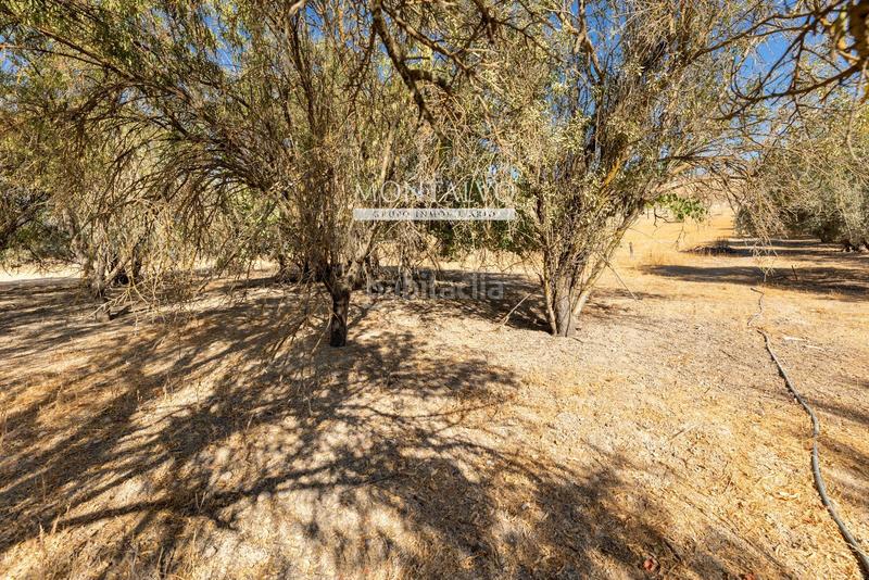 Foto 4ddcbdf8-1e12-418d-a54a-d72faab127e4. Rural plot in 35- barranco hondo 59 in Láchar