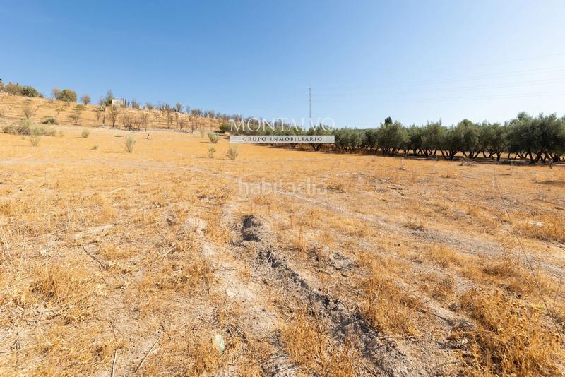 Foto 6338ea63-3db1-4cf6-a77f-4bfb8780aadd. Rural plot in 35- barranco hondo 59 in Láchar