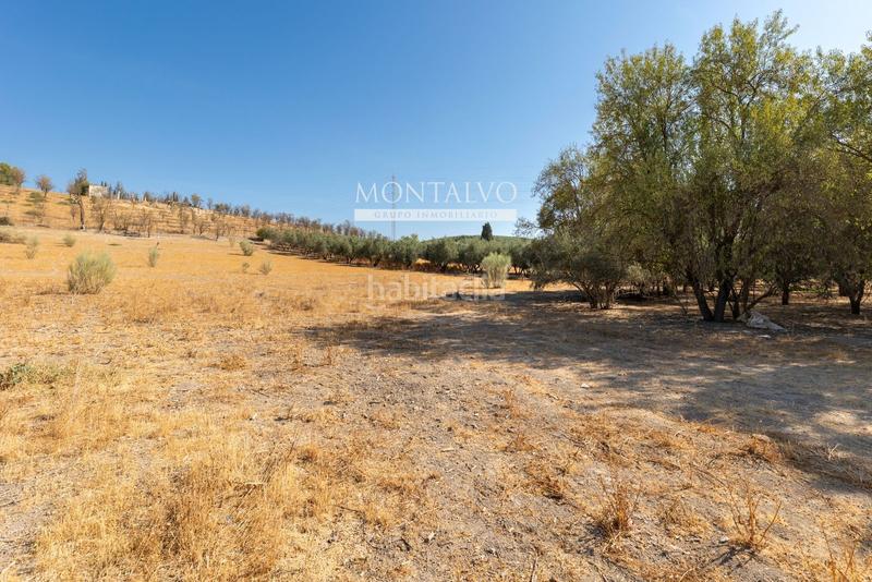 Foto 684a4bd1-2224-4bc6-a86d-536114b4efad. Rural plot in 35- barranco hondo 59 in Láchar