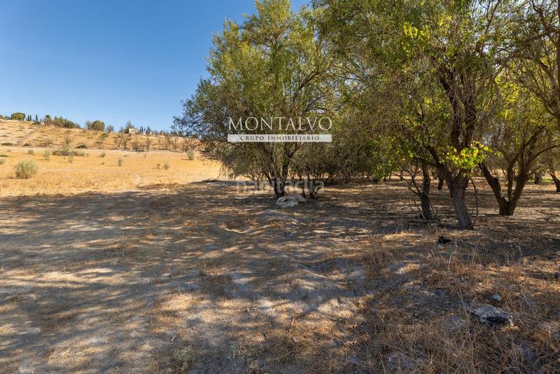 Foto 6bd55121-f4e1-45de-8ed5-dd25ac03d820. Rural plot in 35- barranco hondo 59 in Láchar