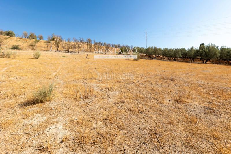 Foto 901cdd69-cbf0-4b94-9872-b5c047bf2940. Rural plot in 35- barranco hondo 59 in Láchar