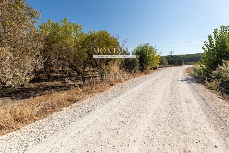 Foto adbdeb0a-a00d-4f28-8382-0d4e12052388. Rural plot in 35- barranco hondo 59 in Láchar